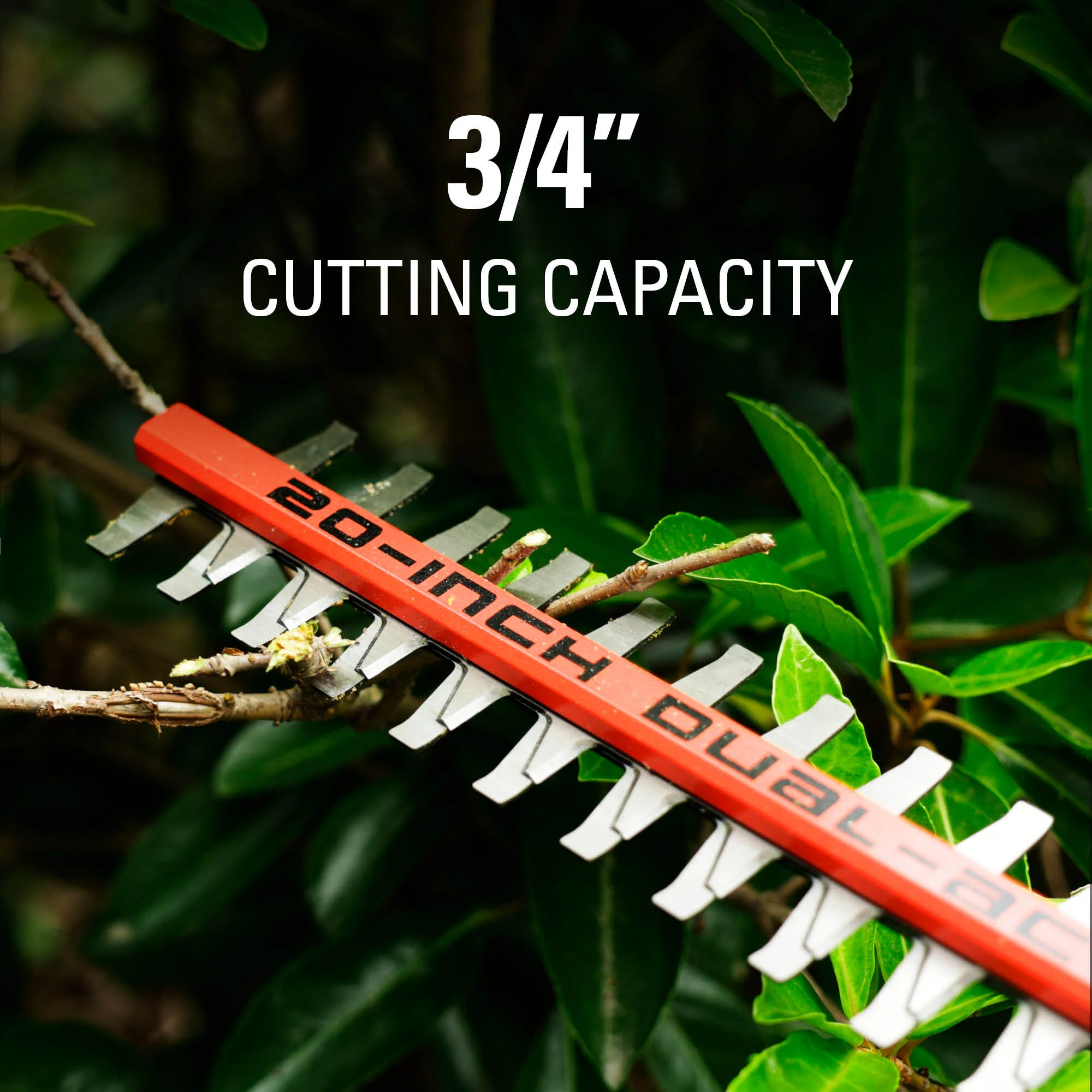 80V 20" Cordless Pole Hedge Trimmer (3/4“cut, 3000SPM), Tool Only - Image 10